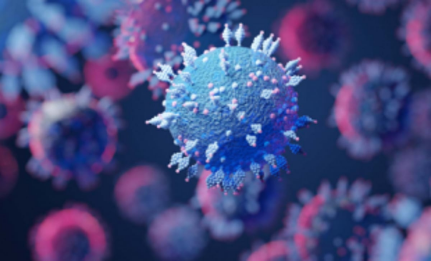 Omicron fear sinks in, no preventive action, yet