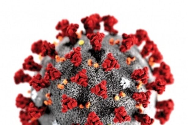 On Sunday, recoveries  outnumbered new infections