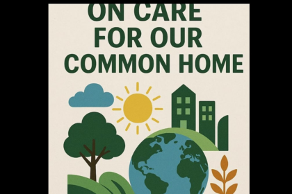 On care for our common home