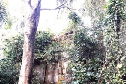 On his 153rd death anniversary, freedom fighter Dr Francisco Luis Gomes’ ancestral house lies in ruins