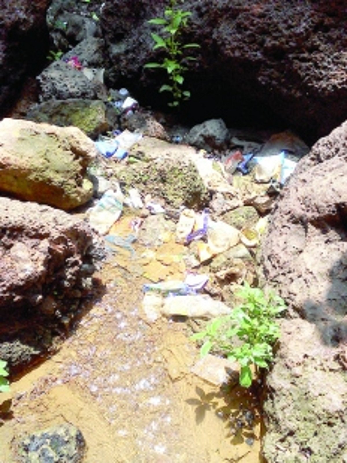 Once a medicinal spring, now an eyesore