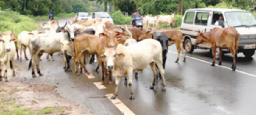 One dies in   accident   at Mollem