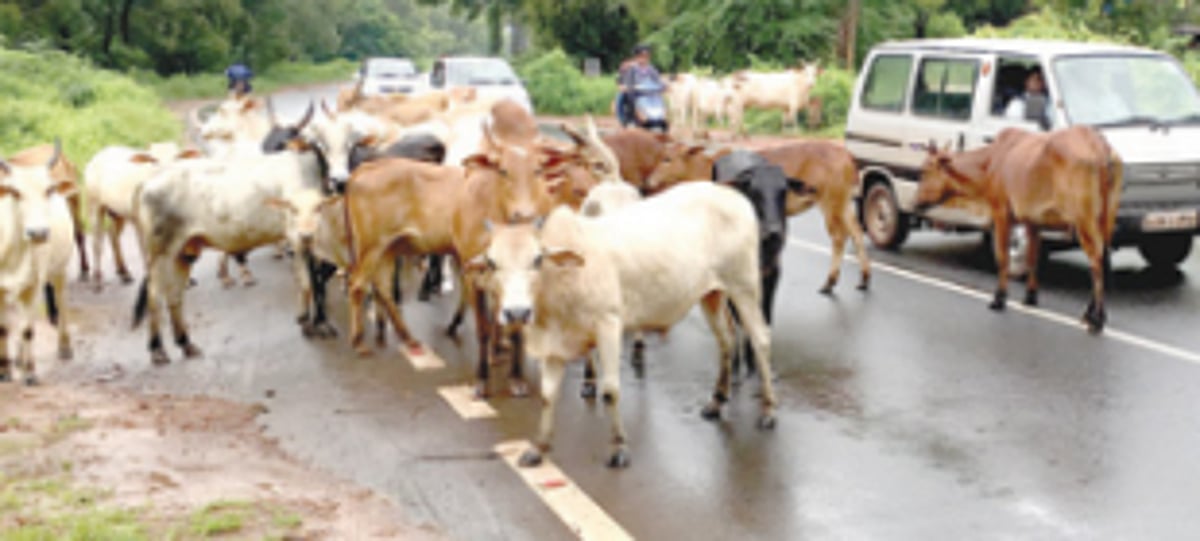 One dies in   accident   at Mollem