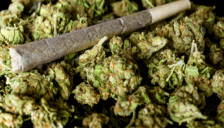 One held for possessing ganja 1 One held for possessing ganja