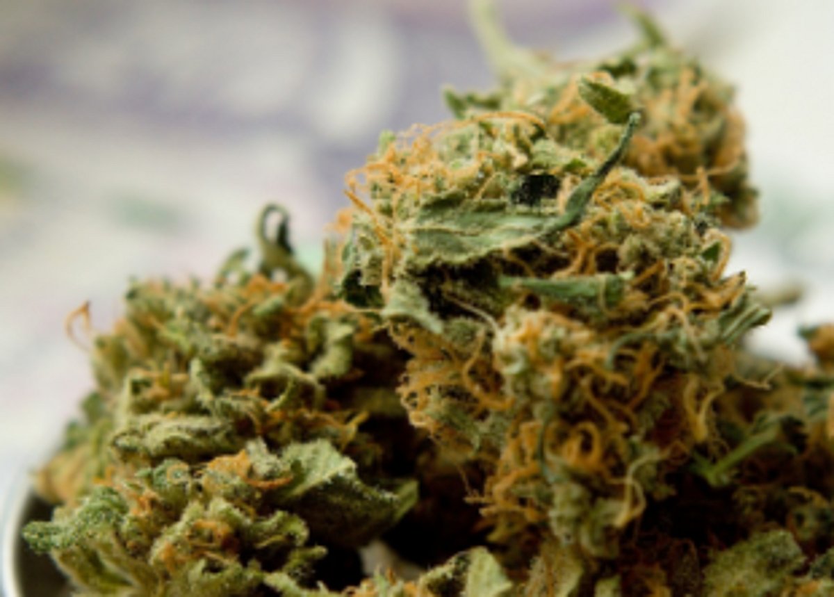 One held with   ganja at Colvale