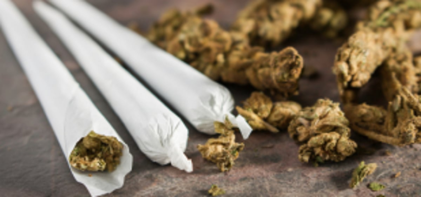 One held with ganja in Cuncolim