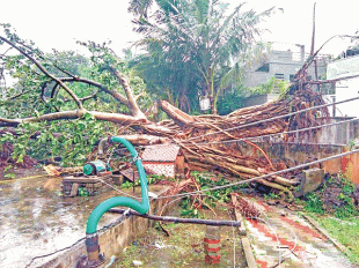 One killed as cyclone Phethai barrels through coastal AP