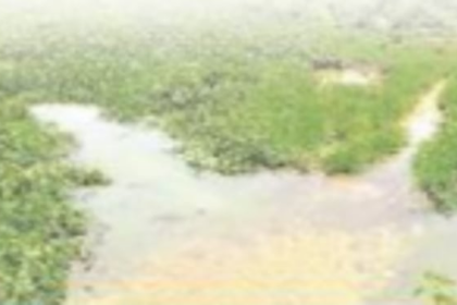 One lakh sq metres of fields near  Saipem Lake to be cultivated