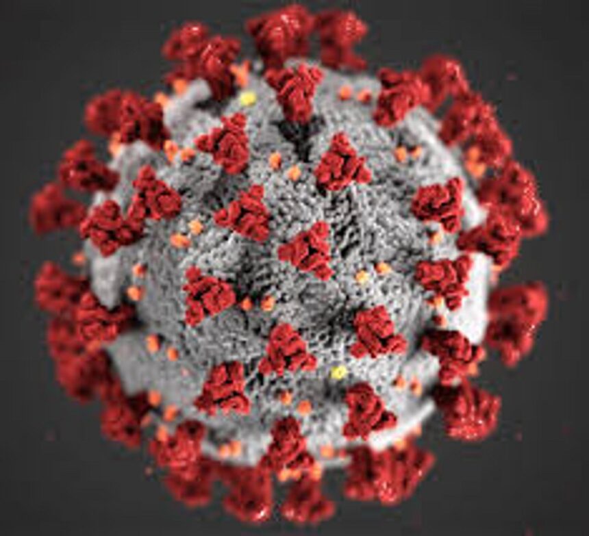 One more succumbs to COVID in State