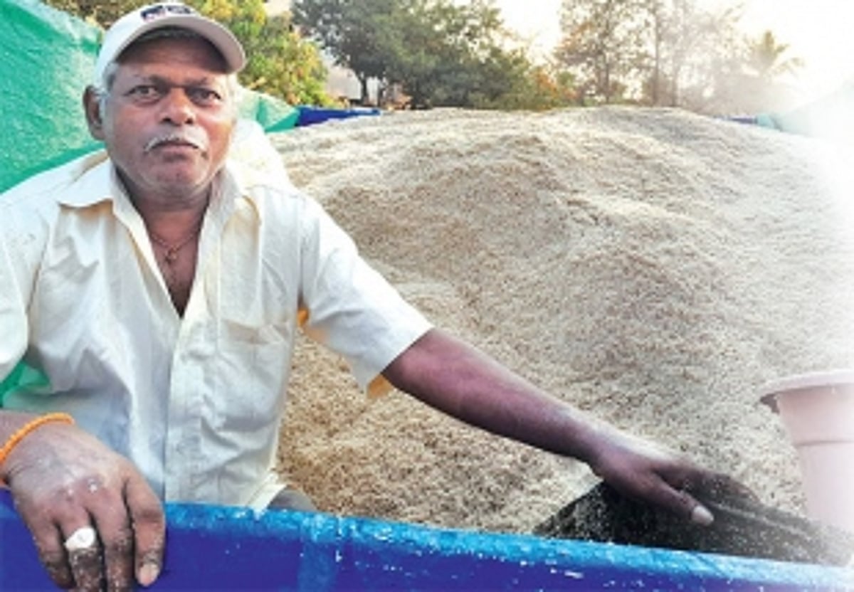 One of the last salt farmers of Batim, Tulsidas Naik worries about the future of his heritage profession