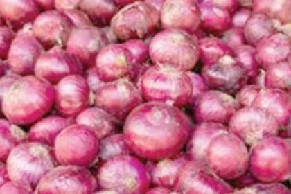 Onion prices down to Rs 57 per kg: MLA