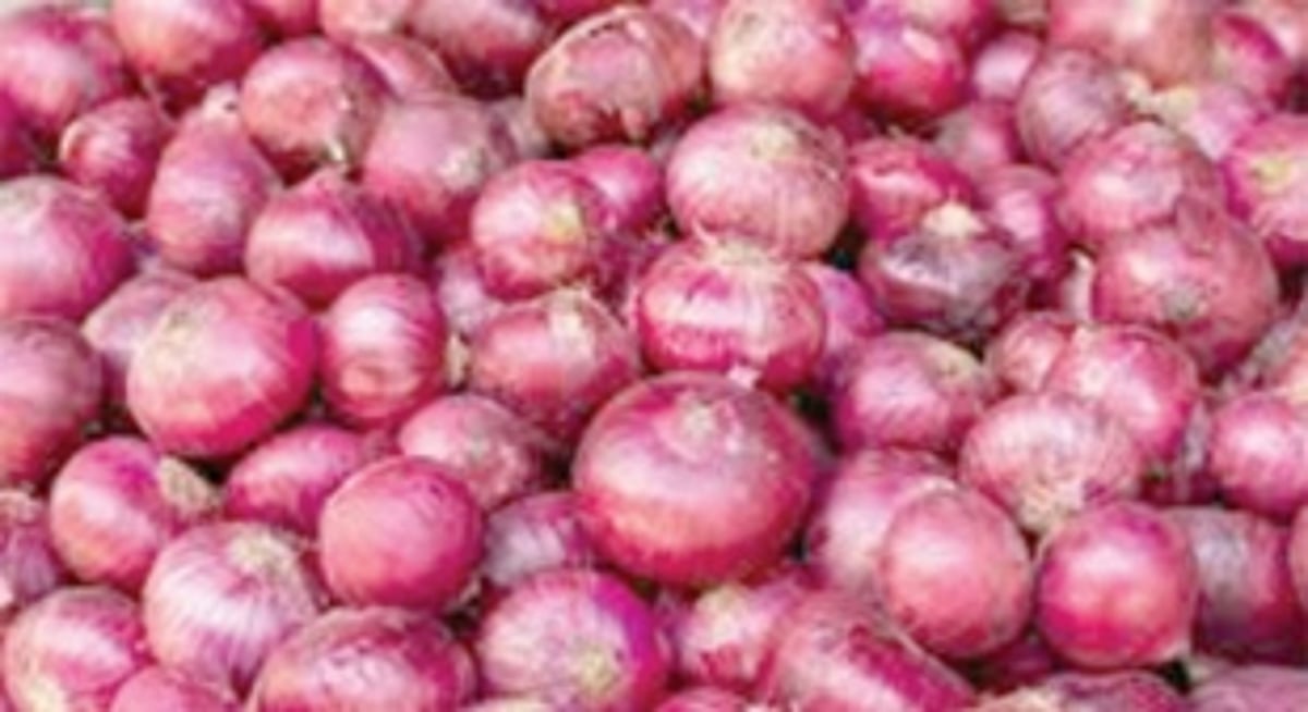 Onion prices down to Rs 57 per kg: MLA