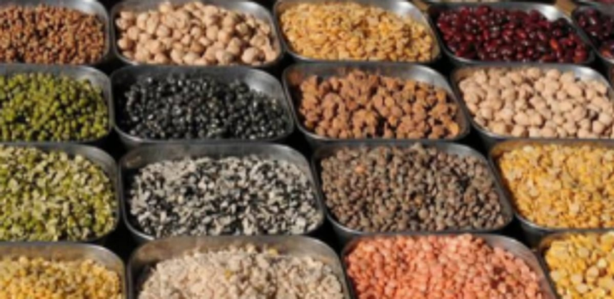 Online portal launched for pulse stock holders