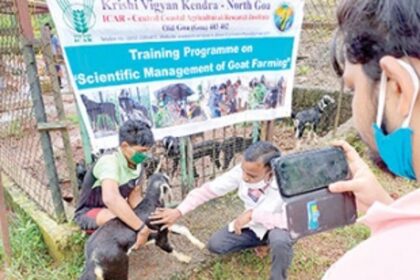 Online training on scientific   management of goats held