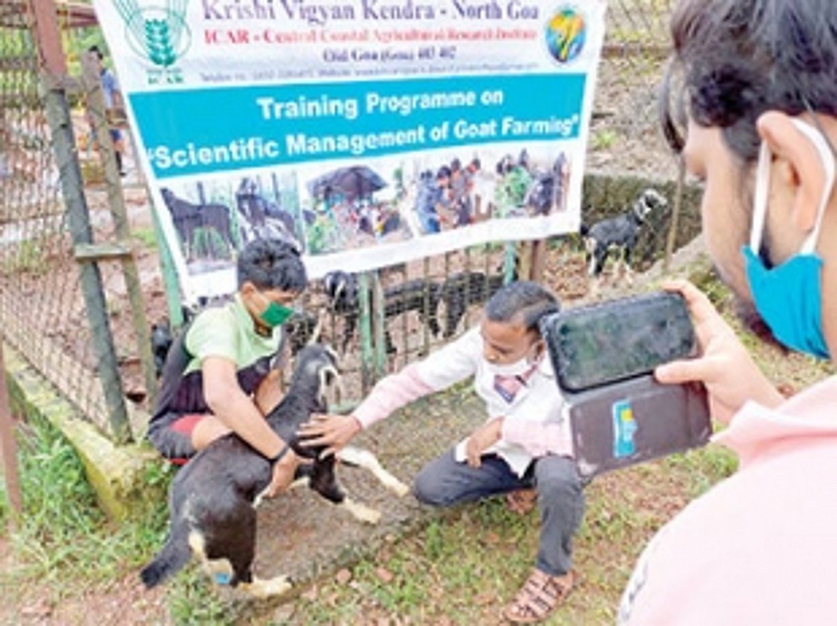 Online training on scientific   management of goats held