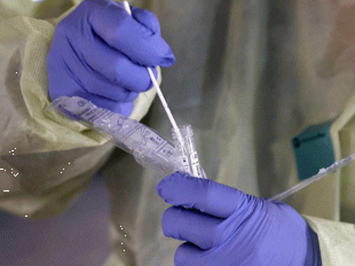 Only checks, no COVID tests at Patradevi