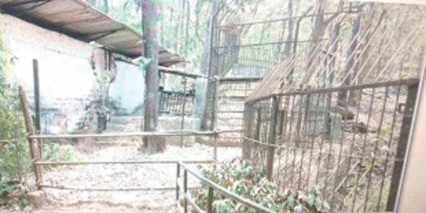 Only zoo in State, Bondla losing its charm 1 Only zoo in State, Bondla losing its charm