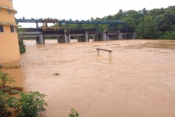 Opa-Khandepar river turns  turbid due to heavy rainfall