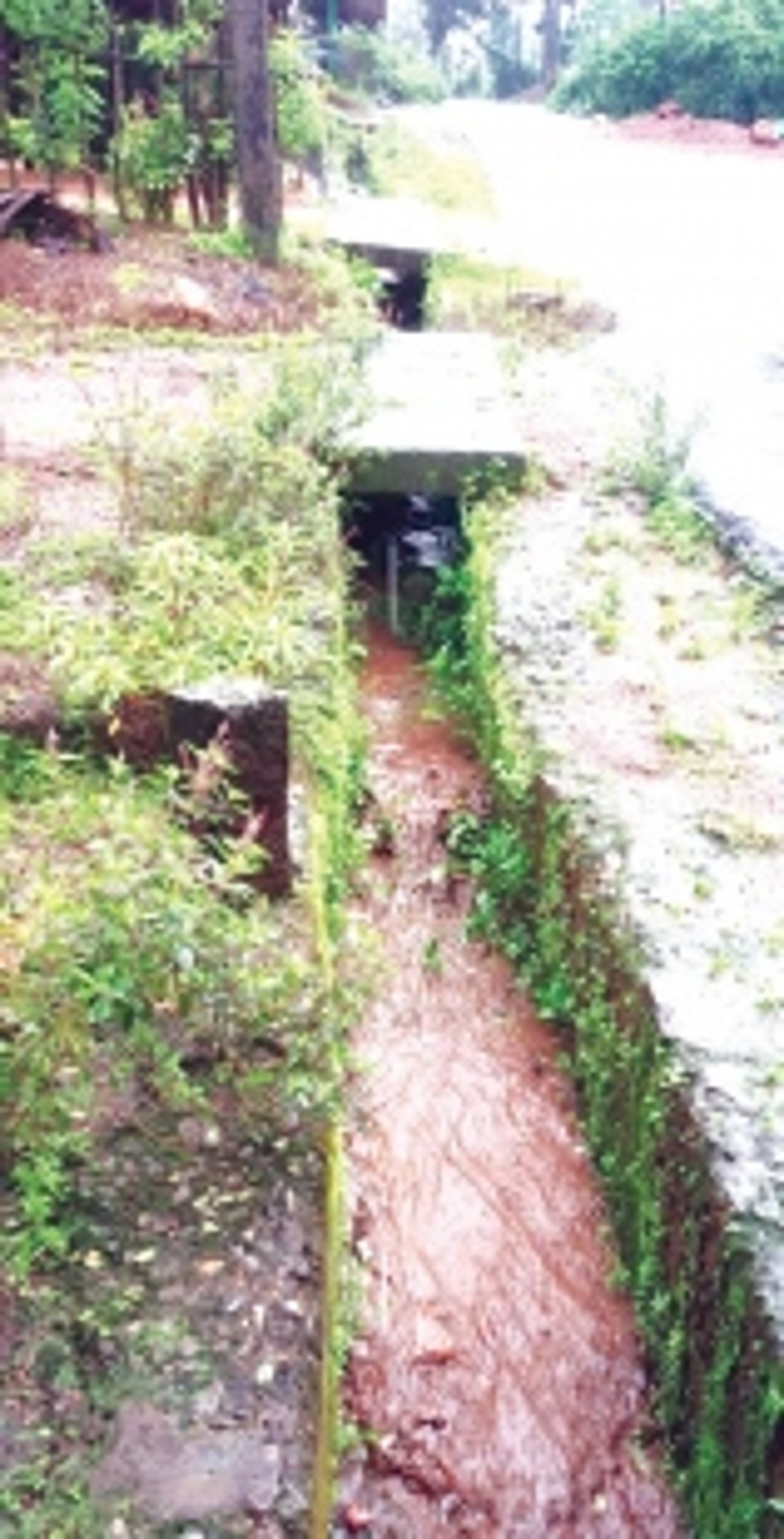 Open defecation, State’s negligence peak Valkini villagers’ plights