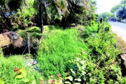 Open nullah at Old Market Circle reeks of sewage, threatens pedestrian safety