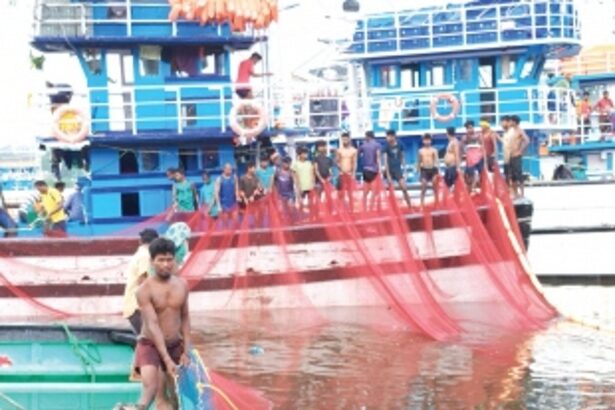 Operations at Malim jetty stalled due to labour shortage