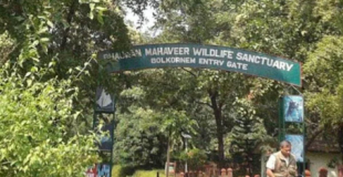 Oppn MLAs vow to raise Mollem  mega projects in Assembly today