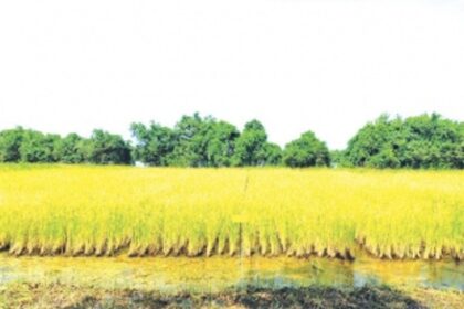 Opposition MLAs oppose Bill meant to prevent loss of agricultural land transfer to non-farmers