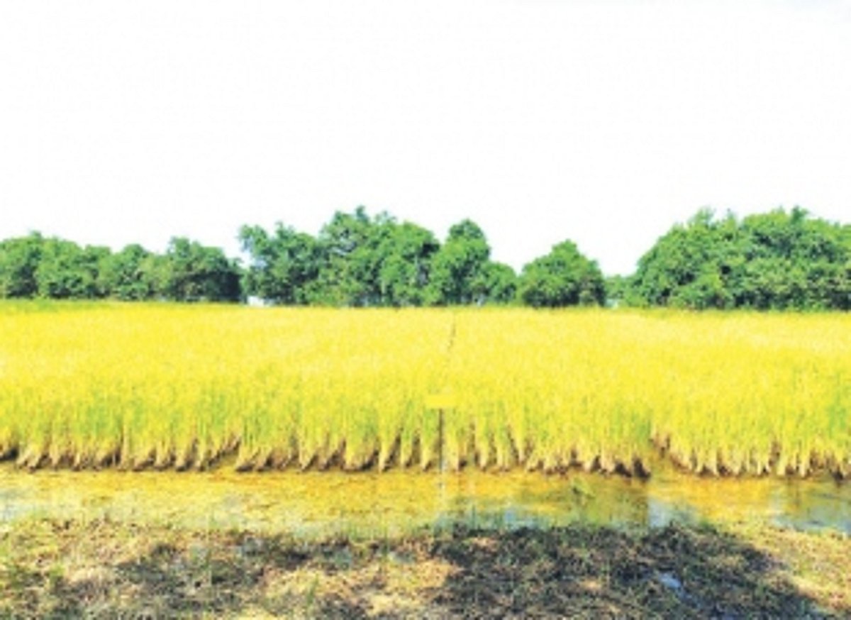 Opposition MLAs oppose Bill meant to prevent loss of agricultural land transfer to non-farmers