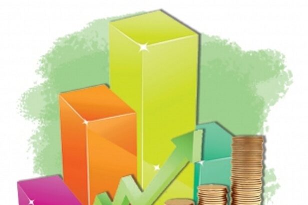 Optimistic outlook: With 2024 LS polls upcoming, Goans hope for populist, progressive Union Budget