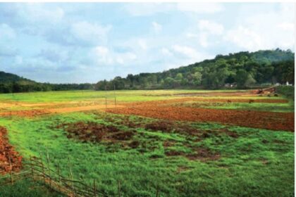 Ordinance to ensure no change in Communidade land use: CM