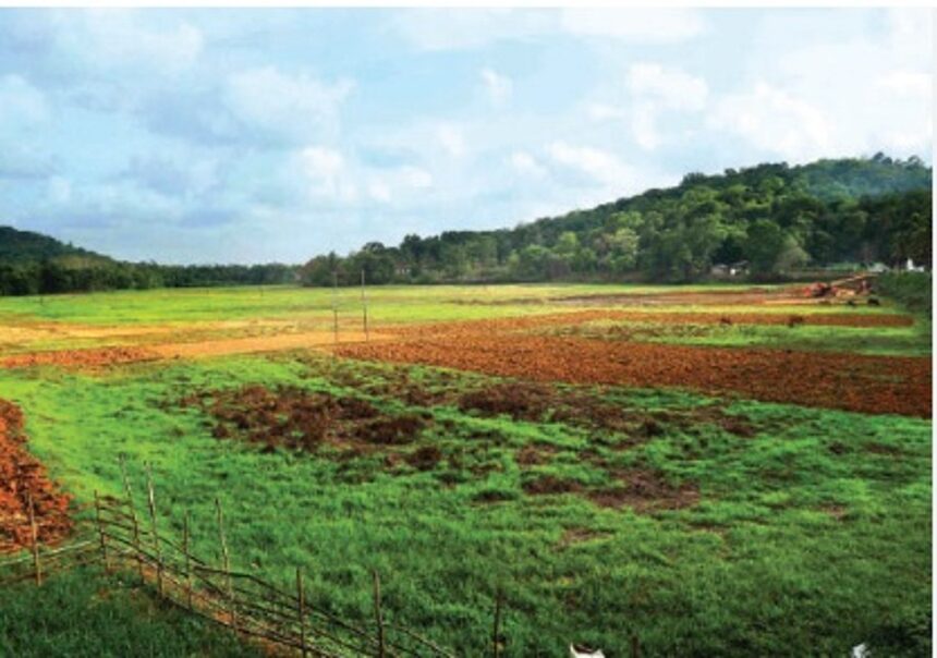 Ordinance to ensure no change in Communidade land use: CM