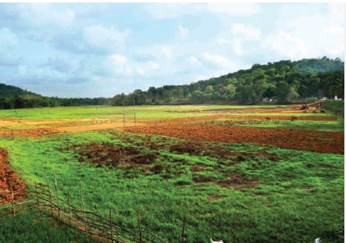 Ordinance to ensure no change in Communidade land use: CM