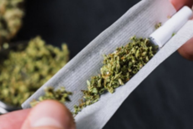 Orissa woman held with ganja worth Rs 5.5L