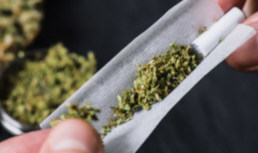 Orissa woman held with ganja worth Rs 5.5L 1 Orissa woman held with ganja worth Rs 5.5L