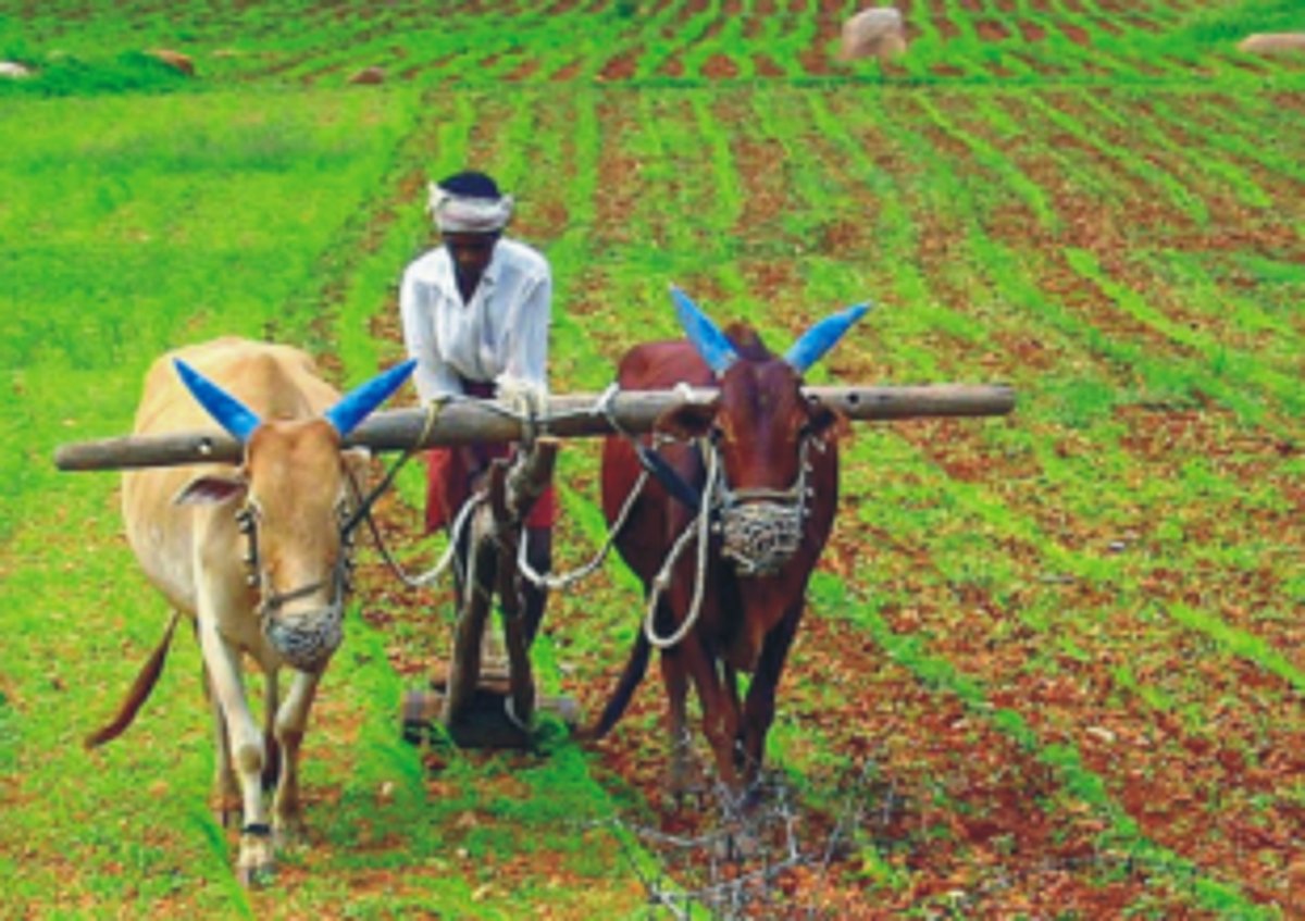 Our Farmers,   Our Pride