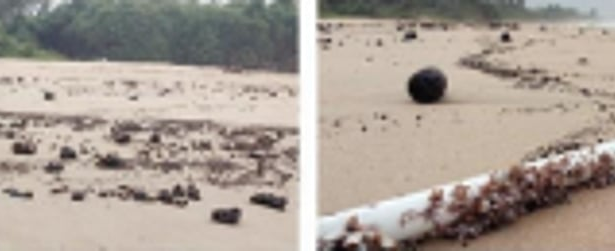 Our beaches are black: This is how the Goa  coastline is TAR-nished annually