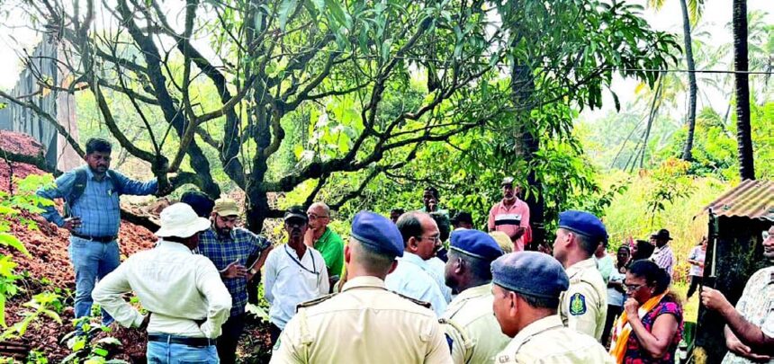 Outrage in Velsao as rail authorities fell iconic mango tree on Christmas Eve