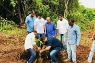 Over 100 saplings planted in Pilerne during Vanmahotsav