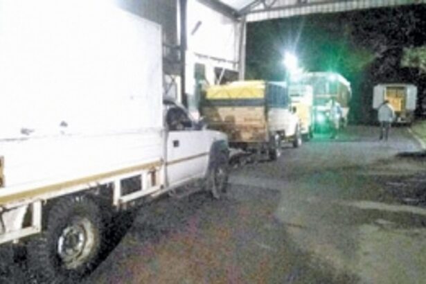 Over 15 lakh kilo fish arrived through Polem in last seven days