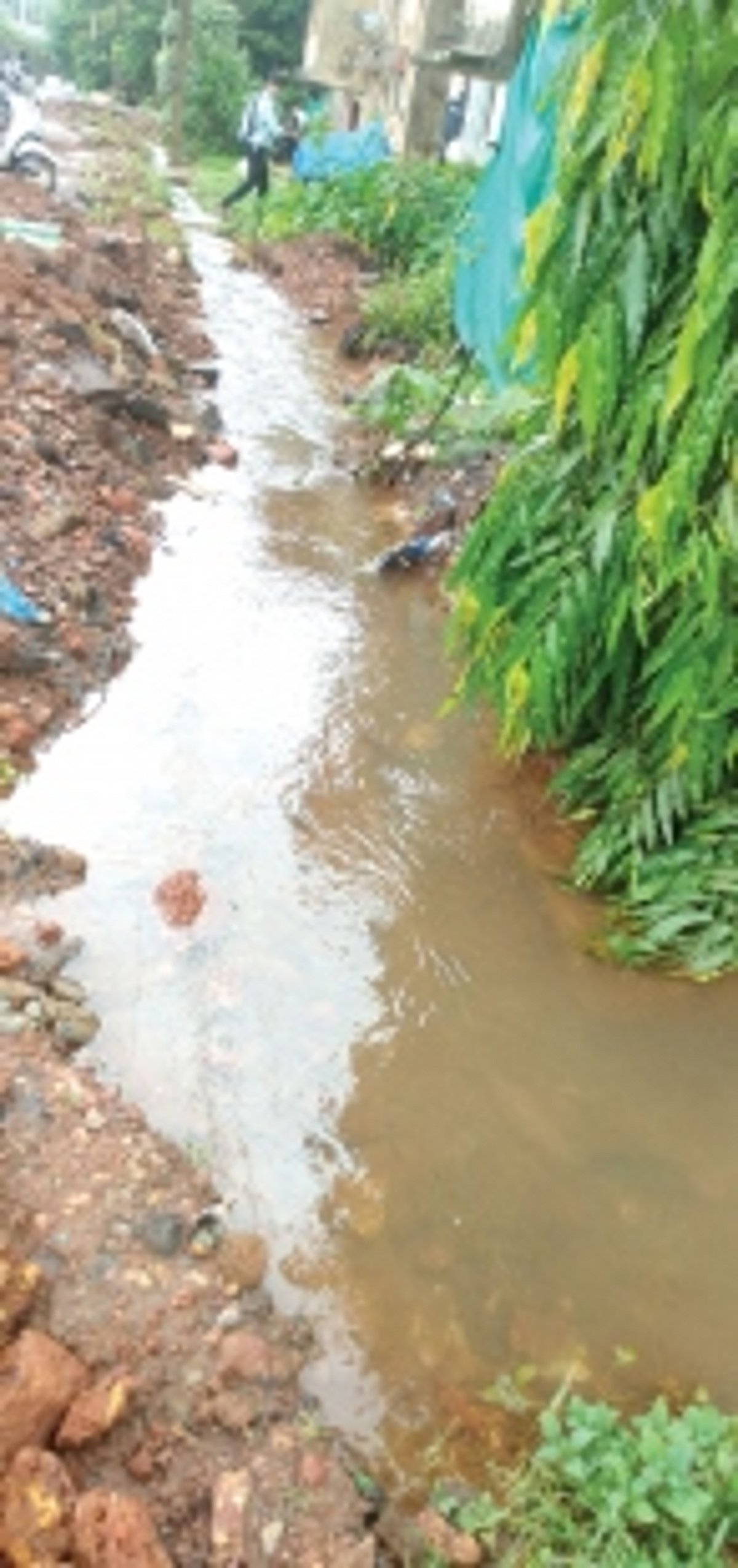 Overflowing gutters pose risk to Housing Board colony at Curti-Khandepar