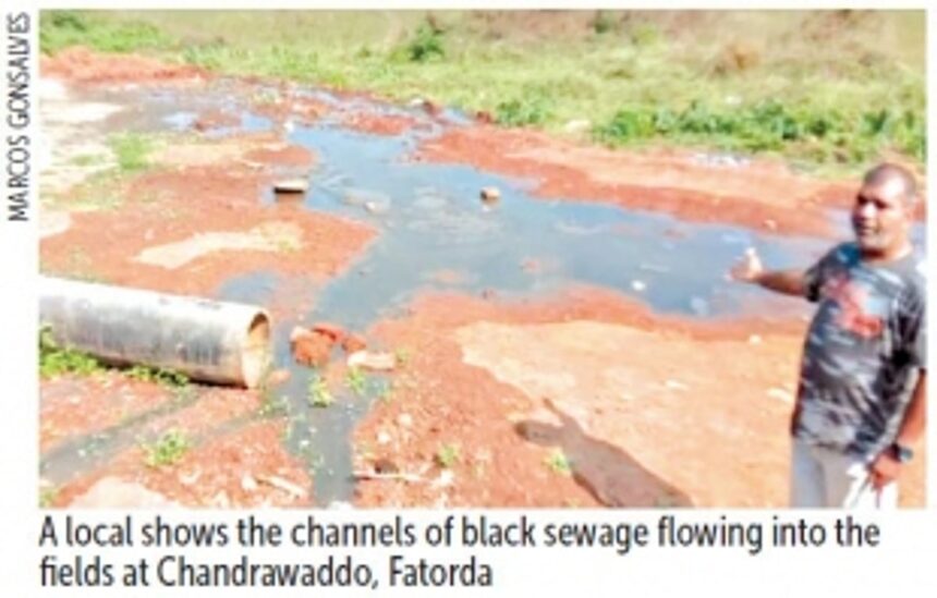 Overflowing sewage from choked chambers sullies fields, contaminates wells in Fatorda