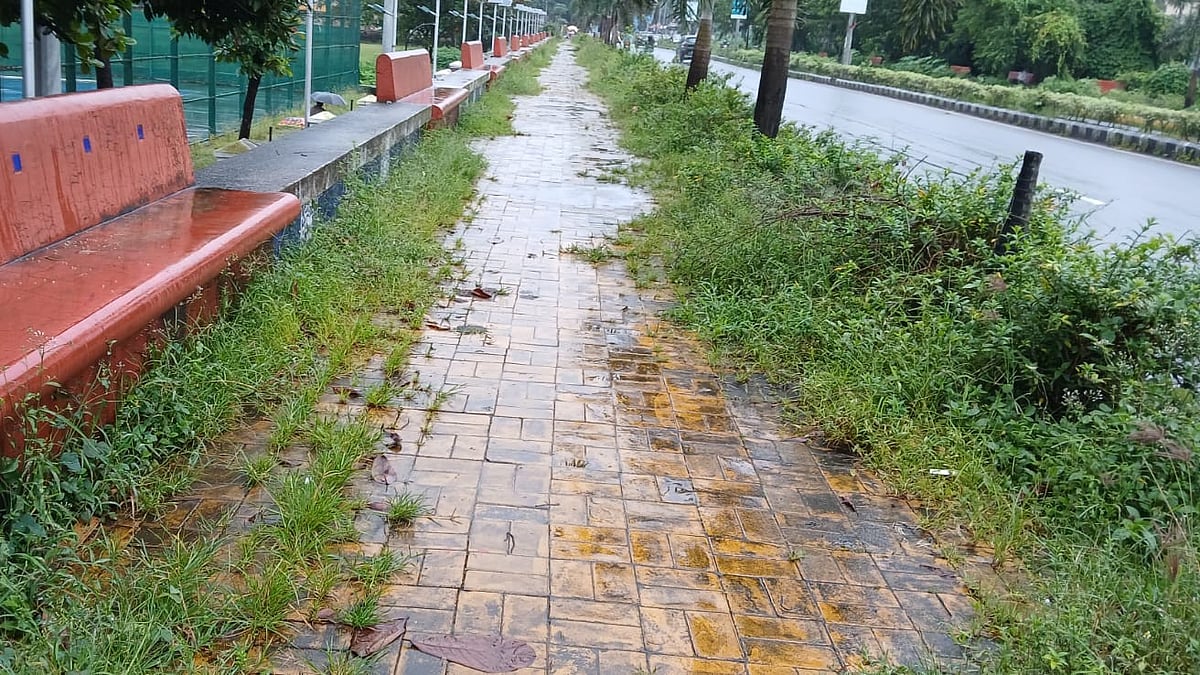 Overgrown Vegetation Along Fatorda Footpath Poses Risk to Pedestrians