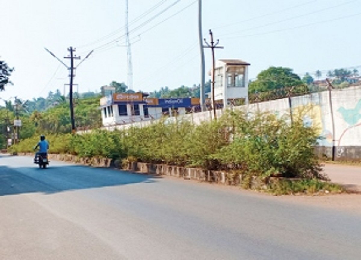 Overgrown bushes on  Vasco road a risk to commuters and locals