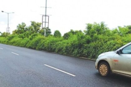 Overgrown bushes on highway blocking commuters’ visibility