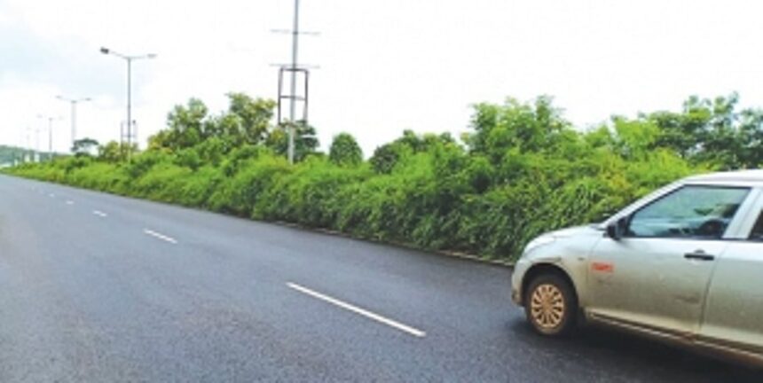 Overgrown bushes on highway blocking commuters’ visibility