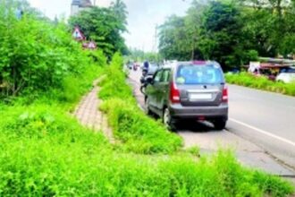 Overgrown bushes pose threat to motorists, commuters in Fatorda