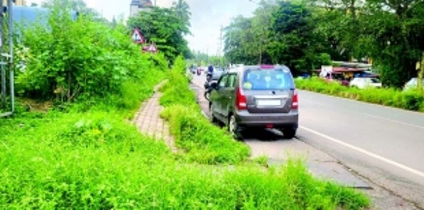 Overgrown bushes pose threat to motorists, commuters in Fatorda