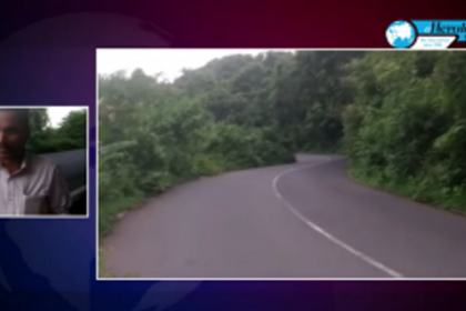 Overgrown plants and bushes pose a threat to vehicle users