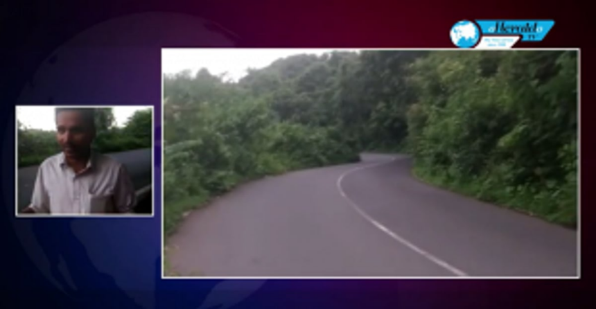 Overgrown plants and bushes pose a threat to vehicle users
