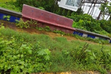 Overgrown shrubs near Fatorda stadium